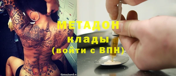 индика Абаза