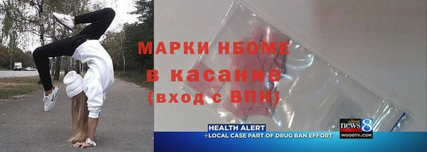 индика Абаза