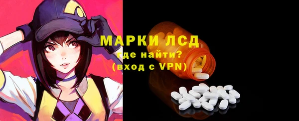 индика Абаза