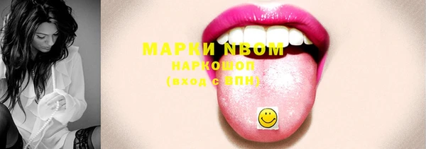 индика Абаза