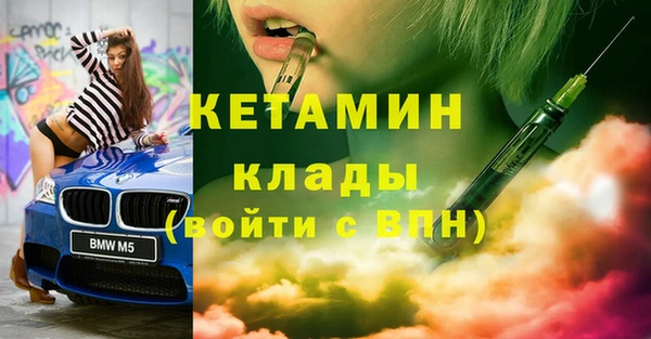 индика Абаза