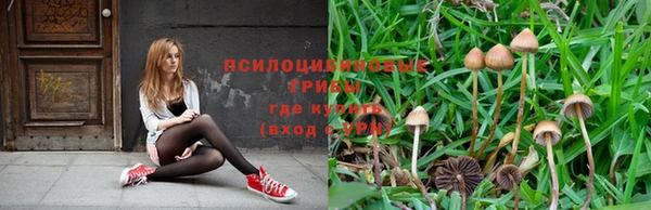 ECSTASY Алексин