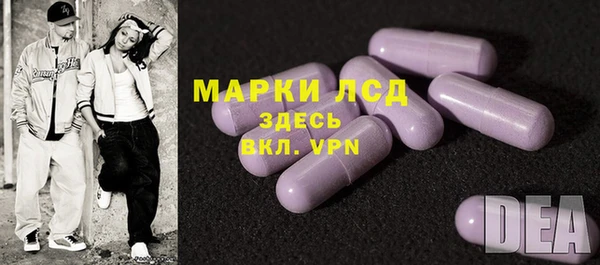 индика Абаза