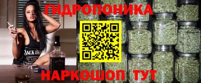 шишки Пенза