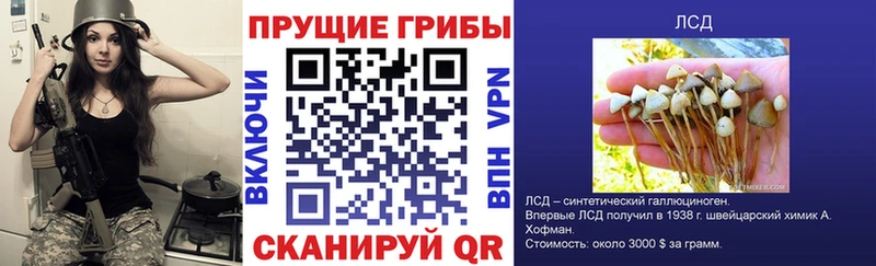 площадка какой сайт  Янаул  Галлюциногенные грибы мухоморы 