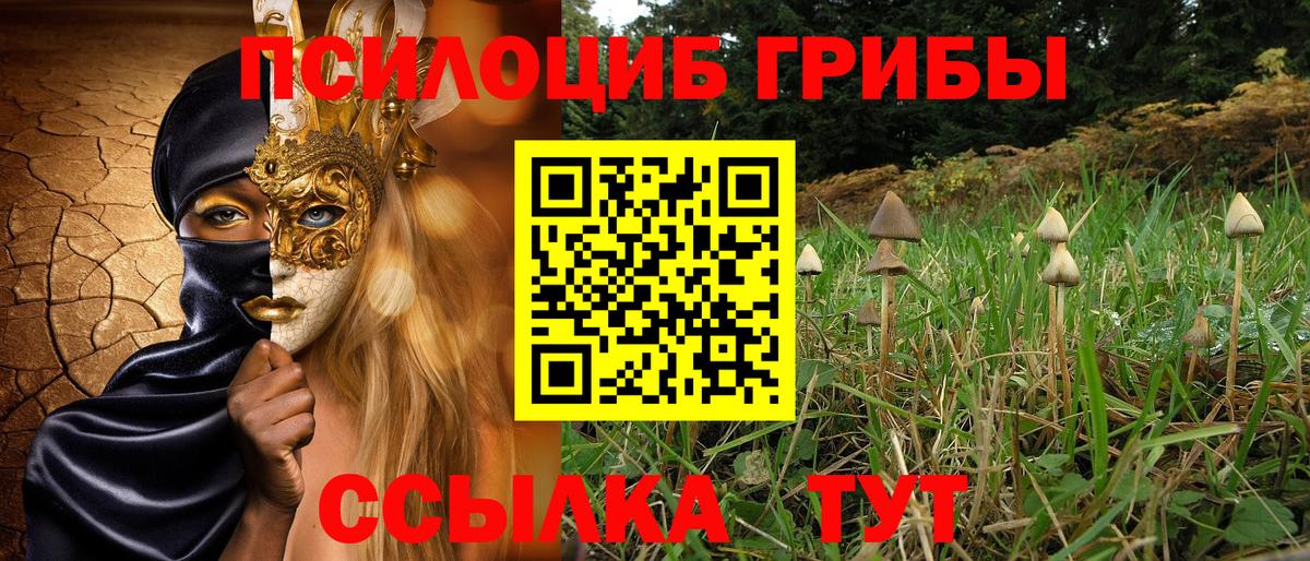 Псилоцибиновые грибы Magic Shrooms Янаул