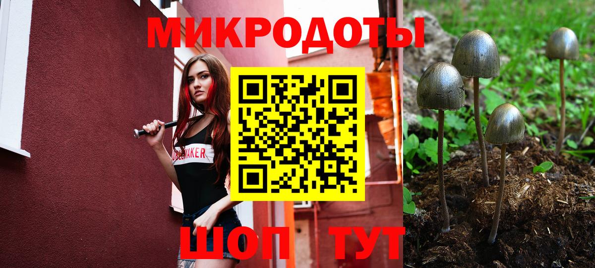 Псилоцибиновые грибы Magic Shrooms  где можно купить   Вход с VPN  Янаул  Галлюциногенные грибы ЛСД 